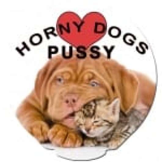 Happy Condoms Horny Dogs Love Pussy